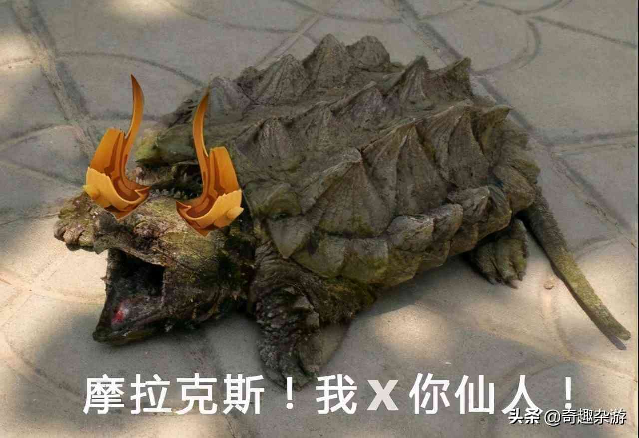 原神:玩家找到了若陀龙王早期手稿,看到后差点把人笑死