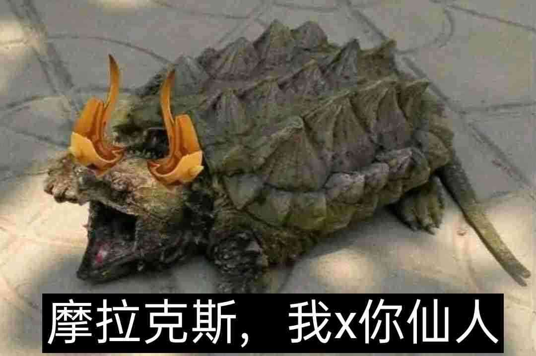 原神:若陀龙王战斗演示,原型猜测很多,我觉得它更像个肥宅龙