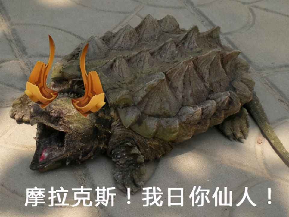 内鬼中出了内鬼!原神藏了数月的大招被扒光,老外为此还打起来了