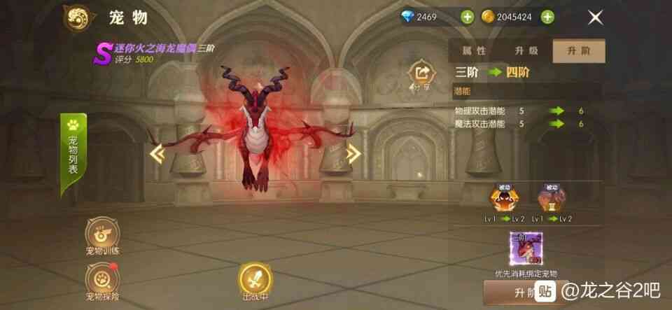 龙之谷2：宝宝选的早不如选的巧，大佬心得助你巧选宝宝