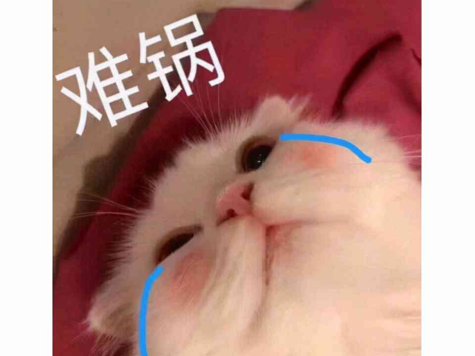 班花其实是网瘾少女?为追妹子玩剑灵,反手把英语6级给过了