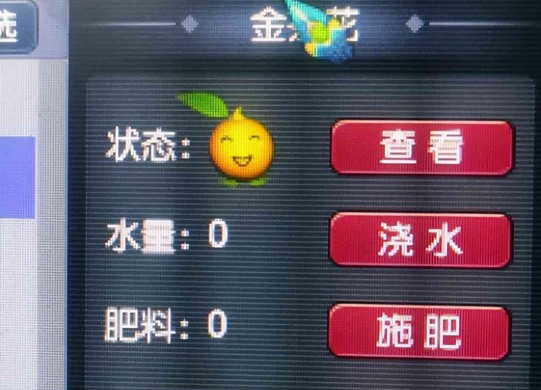 梦幻西游:都是别人家的服务器,杀夜场不用抢,所有场景同时刷